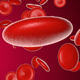 Blood Cells - VideoHive Item for Sale