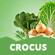 Crocus - Electronics Store Responsive OpenCart Theme - ThemeForest Item for Sale