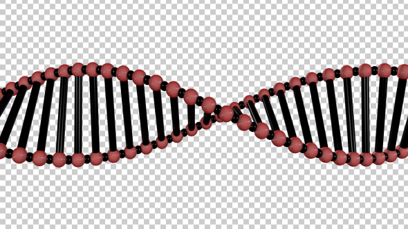 DNA Double Helix alt