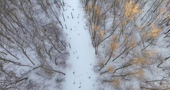 Aerial View. Flight Over the Beautiful Winter River and Forest. Nature in Winter. Landscape Panorama