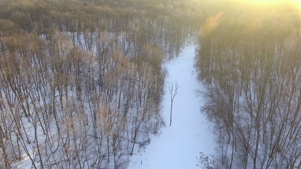 Aerial View. Flight Over the Beautiful Winter River and Forest. Nature in Winter. Landscape Panorama