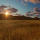 Sunset In The Field - VideoHive Item for Sale