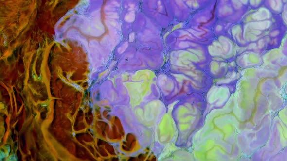 Abstract Bright Colours Paint Spreading Texture alt