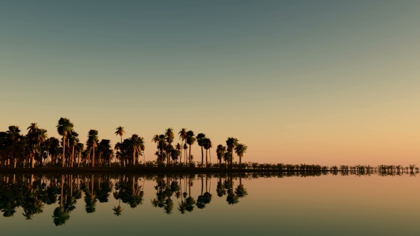 Tropical Island with Palms alt