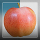 Apple - VideoHive Item for Sale