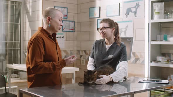 Woman Speaking with Vet and Petting Cat in Clinic