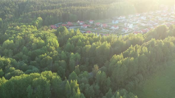 Village with Summer Houses in Forest