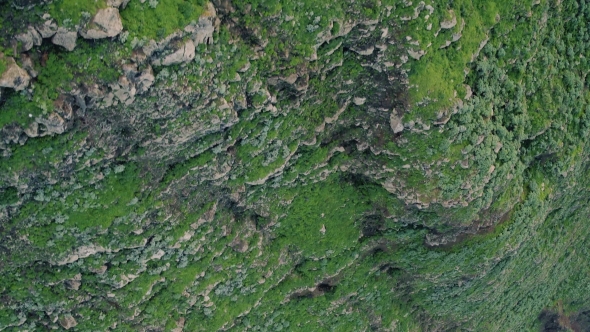 Aerial View Evergreen High Cliff Coastline