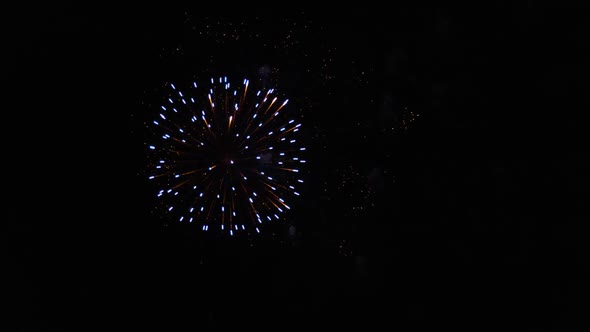 Fireworks in the Sky on Black Background