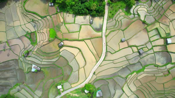 Drone flying over rice terraces field in countryside