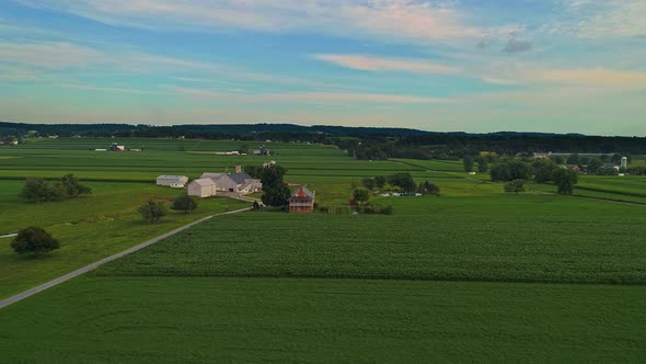 Aerial View of Corn Fields and Fertile Farmlands and Farms