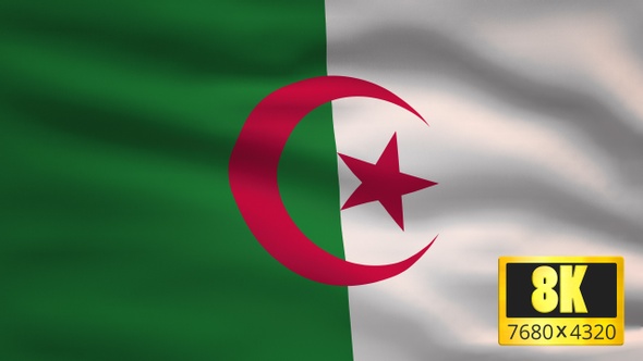 8K Algeria Windy Flag Background