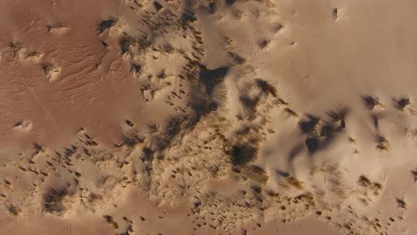 Aerial view of sand dune textures  in the arid region of the Northern Cape, South Africa