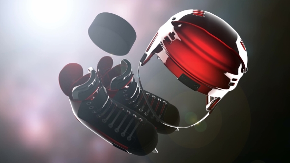 Hockey Puck and Hockey Equipment alt