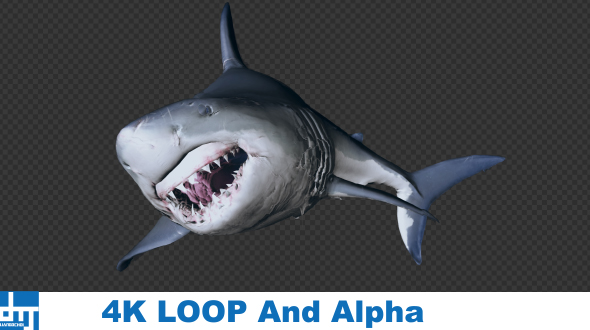 SHARK ATTACK V2 alt