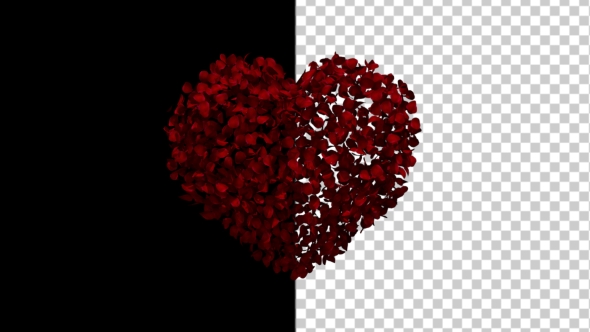 Heart Animation From Rose Petals