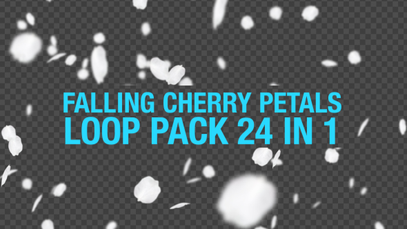 Falling Cherry Petals 24 in 1