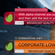 Corporate Lower Third - VideoHive Item for Sale