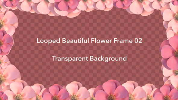 Looped Beautiful Flower Frame 02