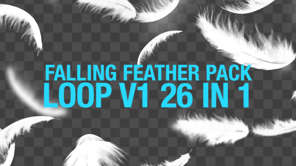 Falling Feather Pack 26 in 1