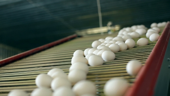 Eggs on the Conveyor