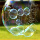 Bubbles Click