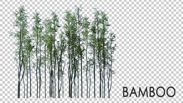 3D Bamboo Trees alt