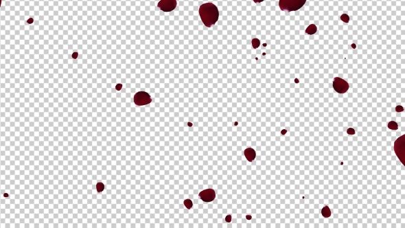 Falling Red Rose Petals 