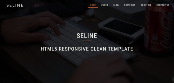 Seline - HTML5 Responsive Clean Template