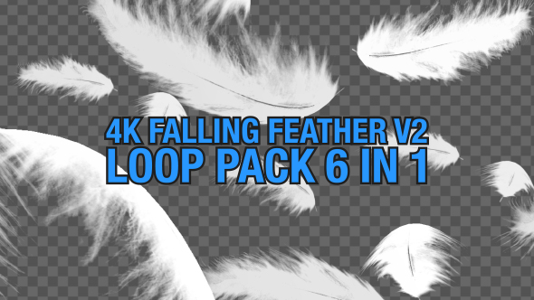 4K Falling Feather Pack V2 6 in 1