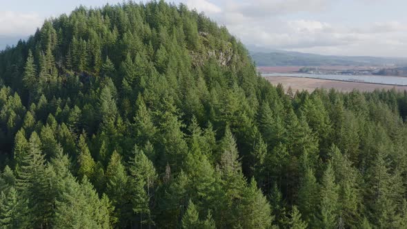 Aerial Footage of Minnekhada Regional Park in 4k, British Columbia, Canada