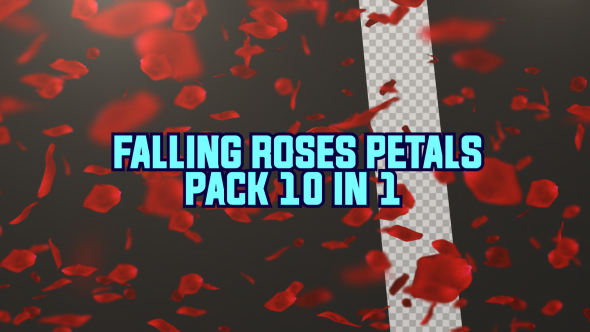 Falling Roses Petals Pack 10 in 1