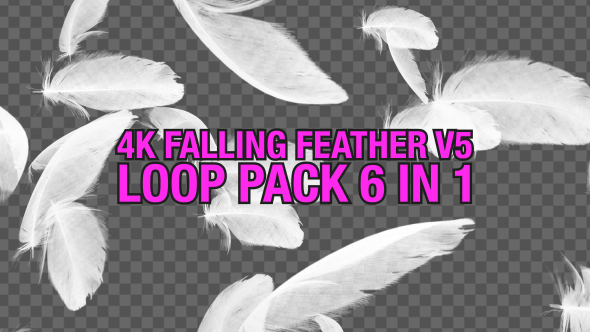 4K Falling Feather Pack V5 6 in 1
