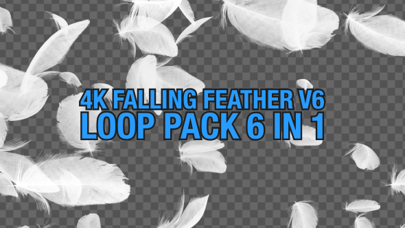 4K Falling Feather Pack V6 6 in 1
