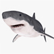 Great white shark - 3DOcean Item for Sale