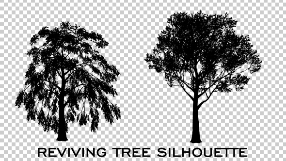 Tree Silhouette Reviving alt