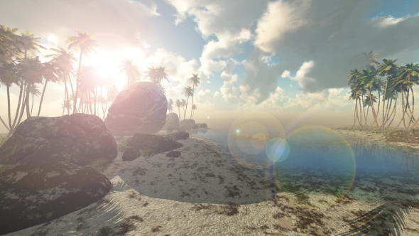 Tropical Island with Palms alt