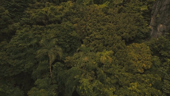Tropical Rainforest in the Mountains, Aerial View.