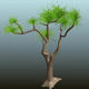 Tree_01 - 3DOcean Item for Sale
