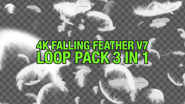 4K Falling Feather Pack V7 3 in 1