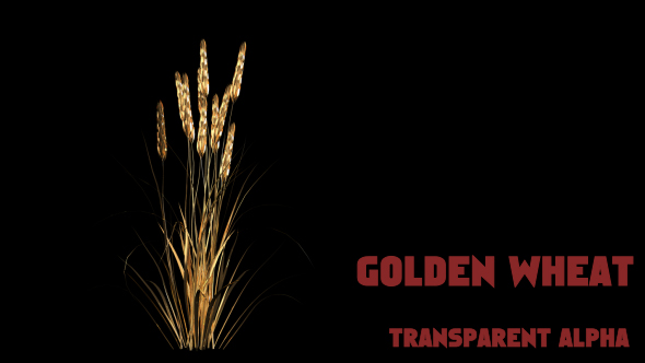 Gold Wheat alt