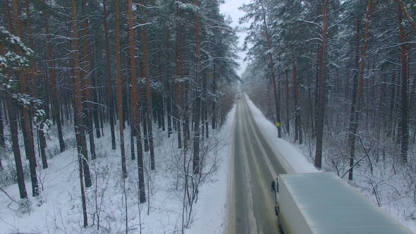 The Road in the Winter Forest.