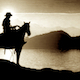 The Lonely Horseman
