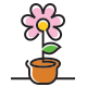 Flowers Logo - GraphicRiver Item for Sale