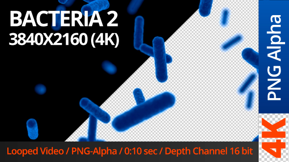 Bacteria 2 alt