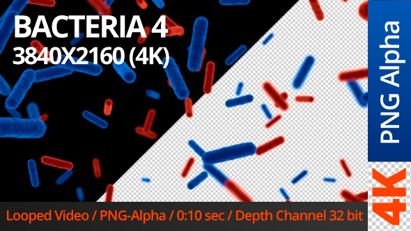 Bacteria 4 alt
