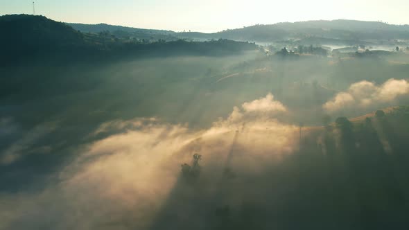 4K Aerial view of the misty sunrise in the forest. Tropical Rainforest in Thailand