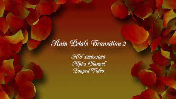 Rain Petals Transition 2 alt