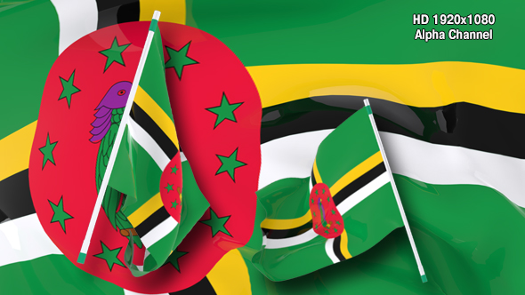 Flag Transition - Dominica alt