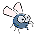 Fly